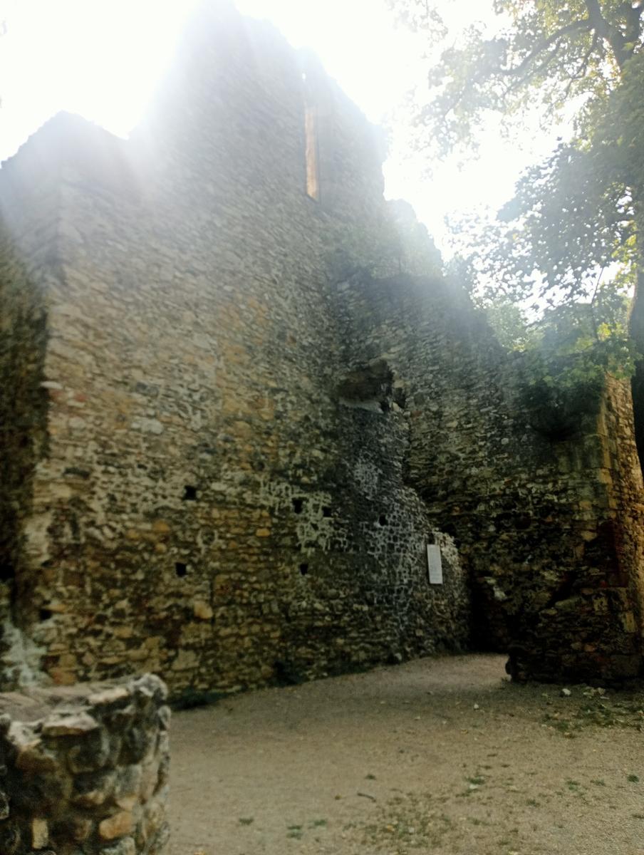 Monumento a los zapatos, Basílica de San Esteban e Gran Sinagoga da Gellérthegy - foto 32