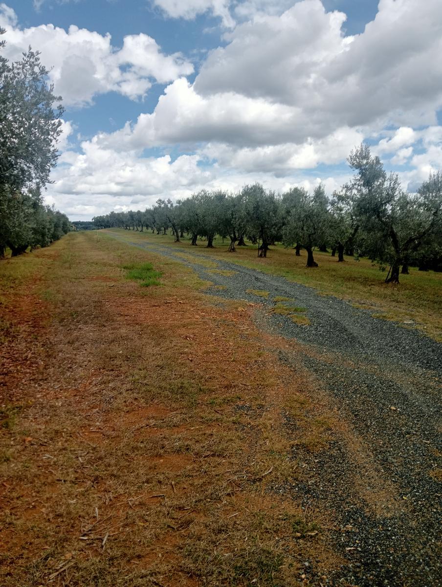 Grotte gialle - foto 5