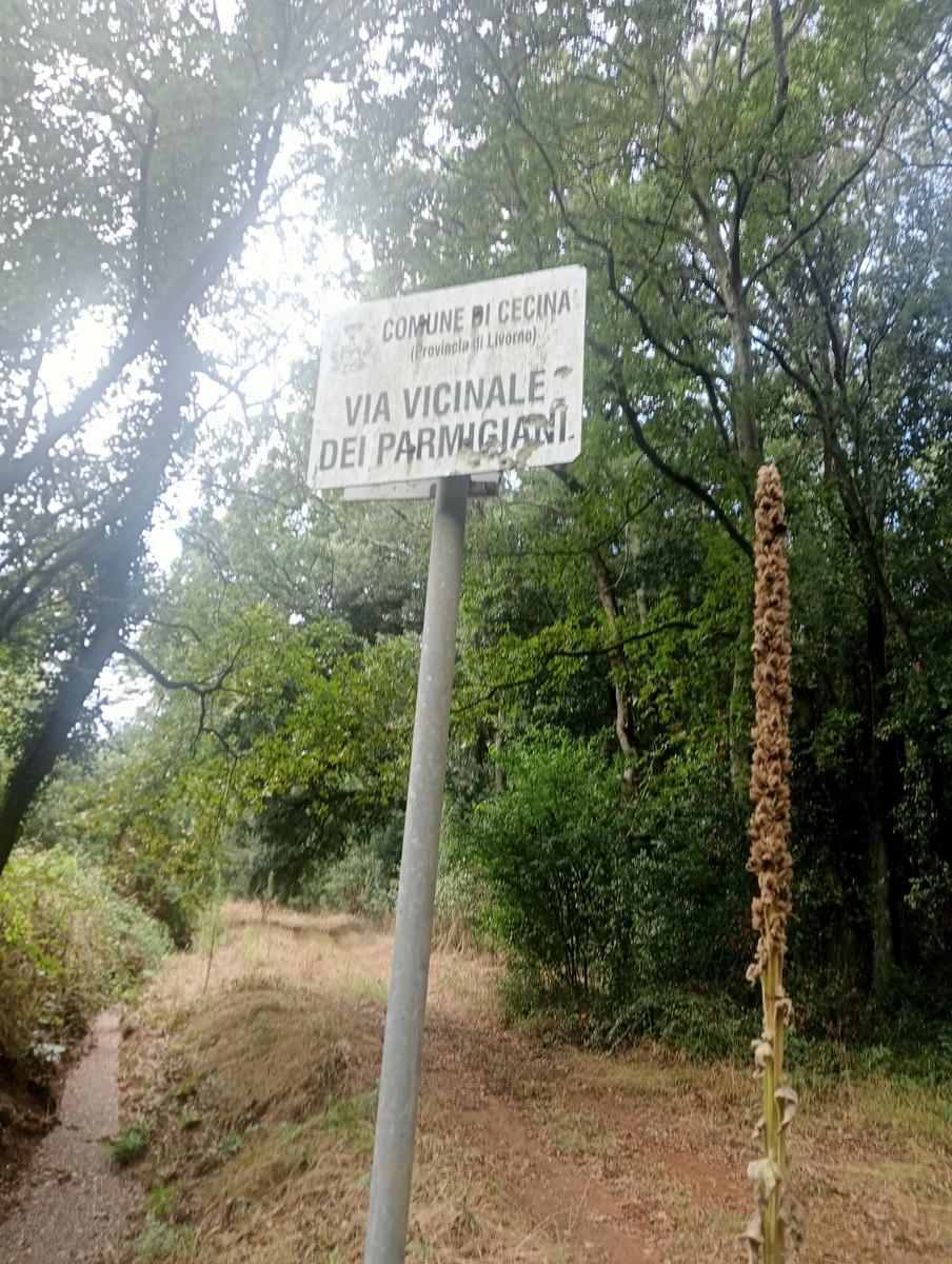 Grotte gialle - foto 7