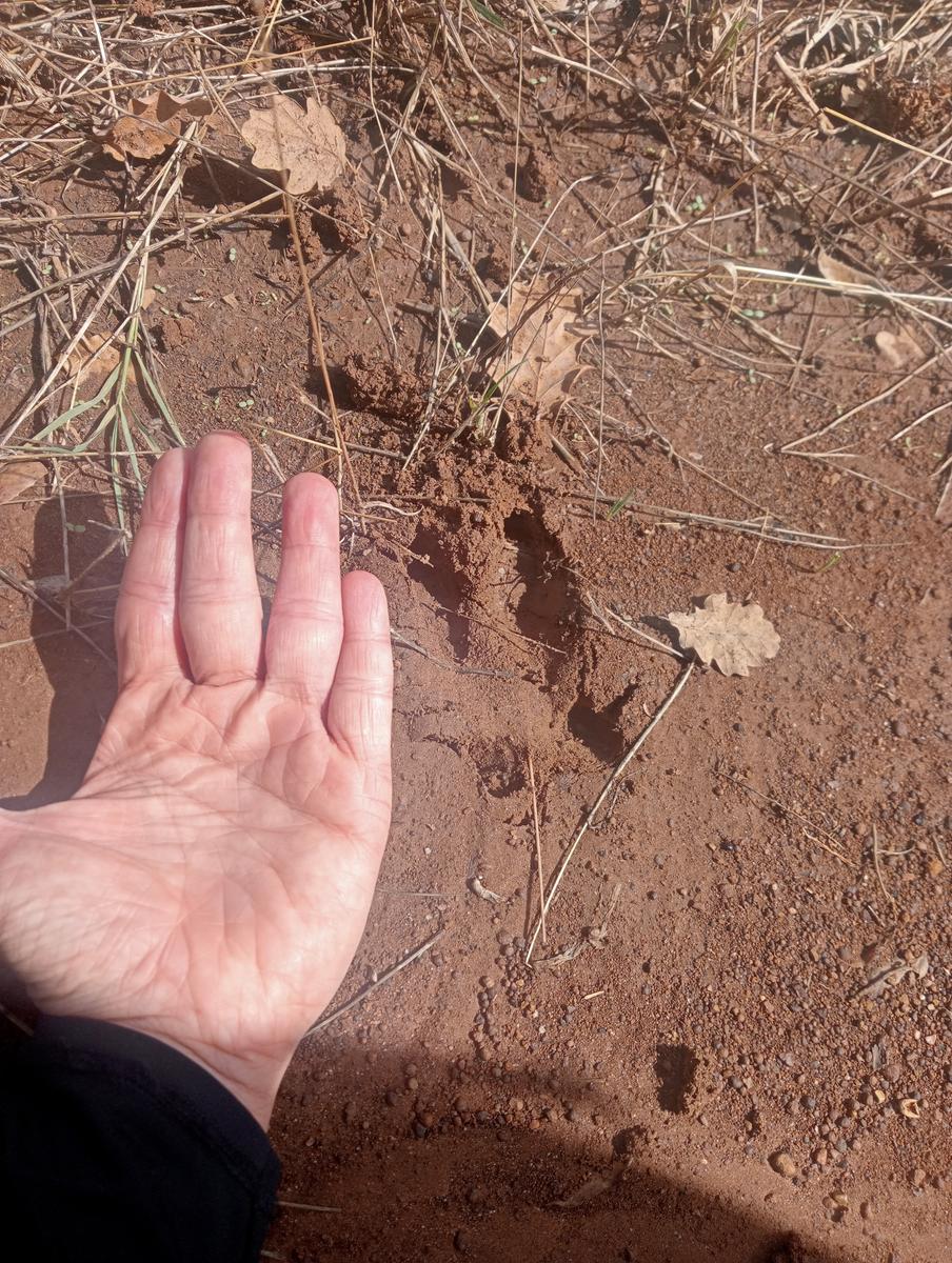 Grotte gialle - foto 8