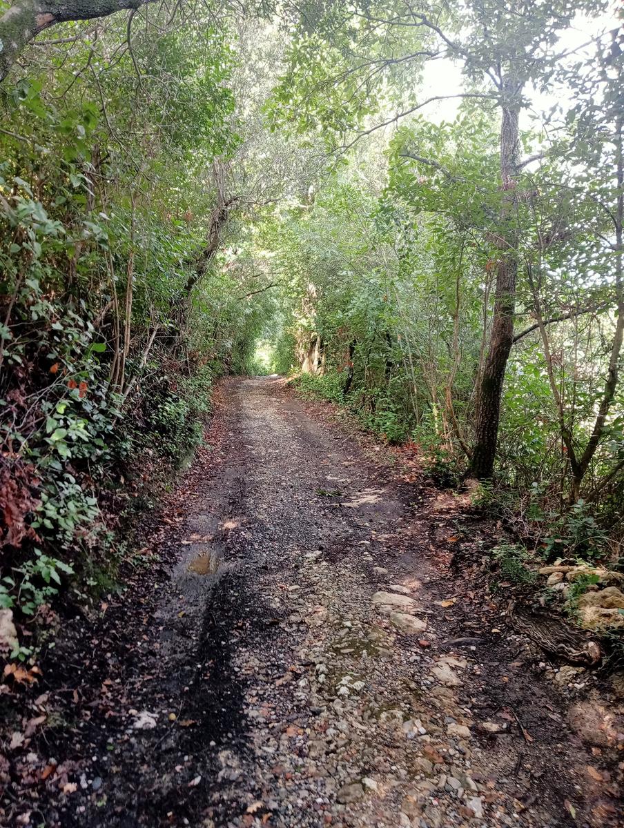 Grotte gialle - foto 13