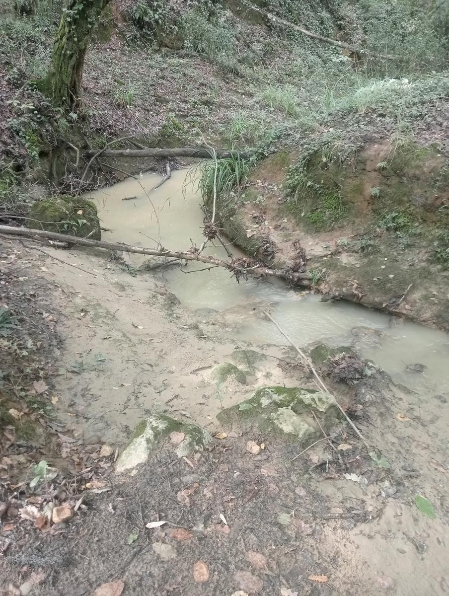 Grotte gialle - foto 14