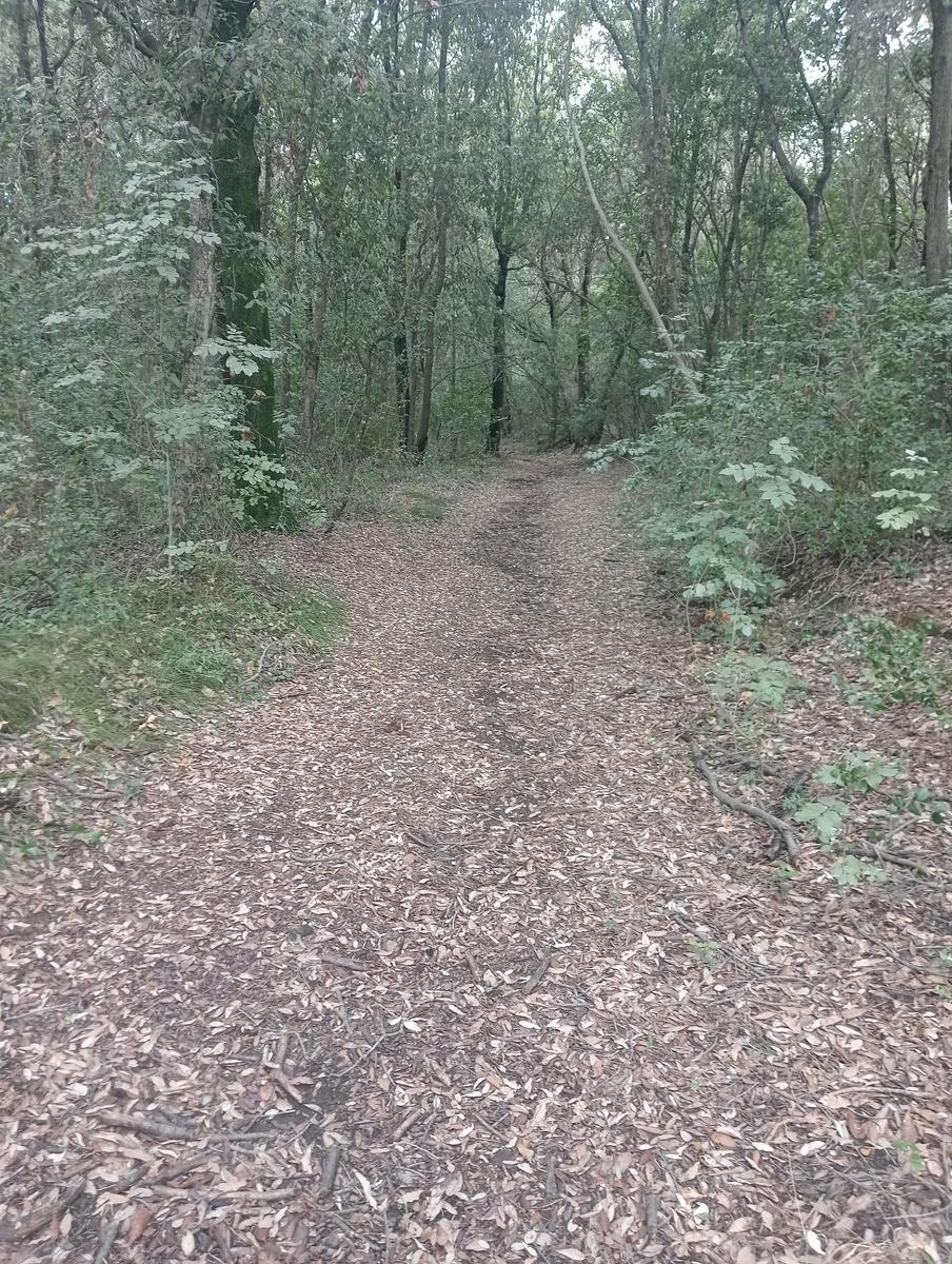 Grotte gialle - foto 16