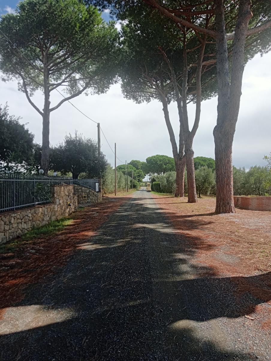 Grotte gialle - foto 17