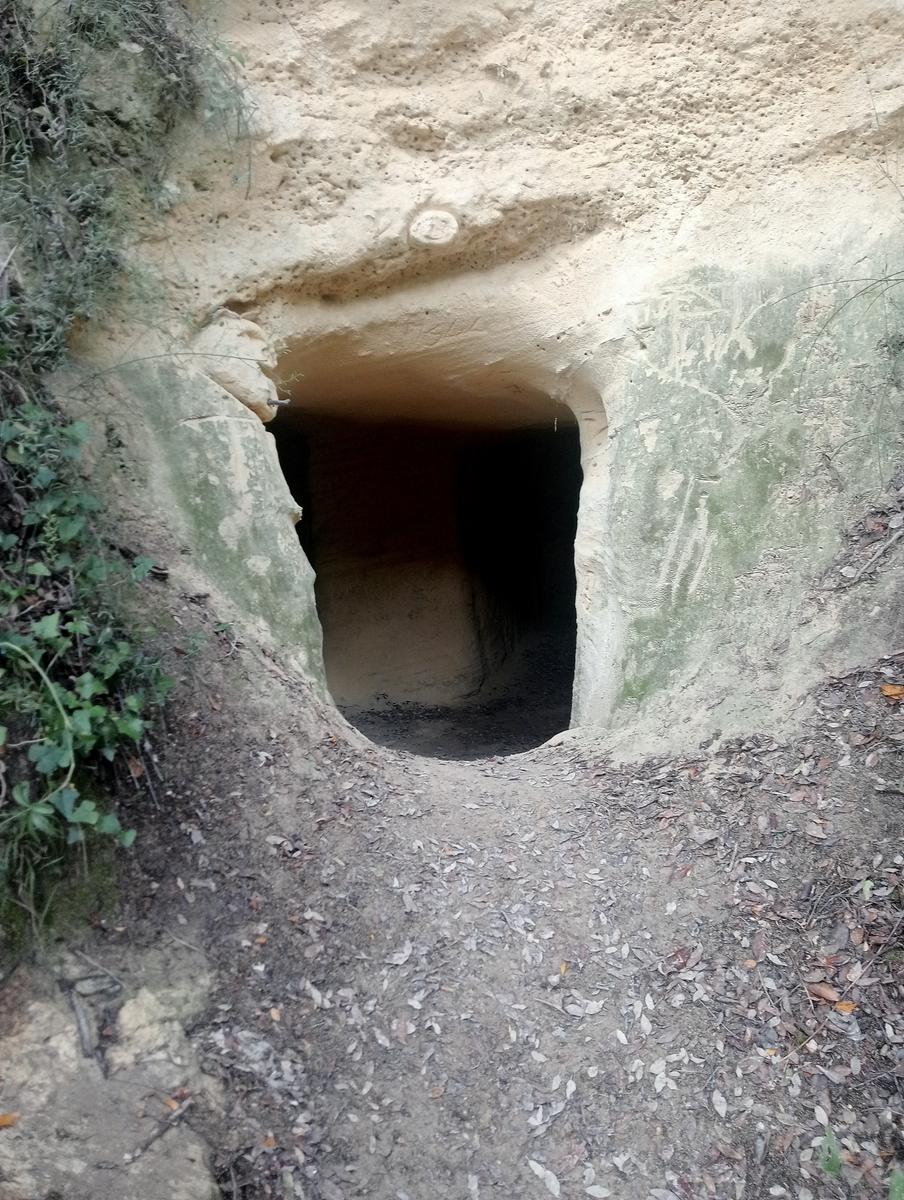 Grotte gialle - foto 20