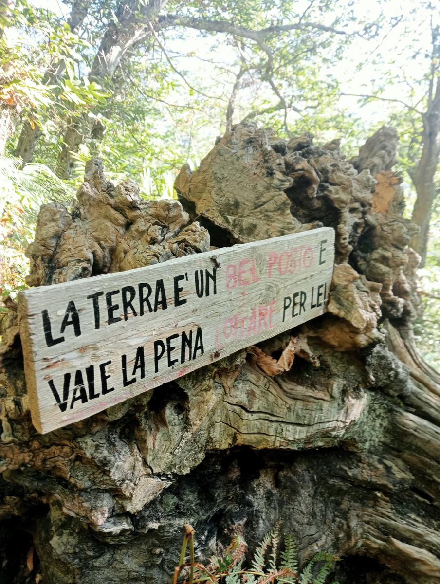Monte Spallone, Monte Sagro e Punta tre Uomini da Verghereto - foto 13