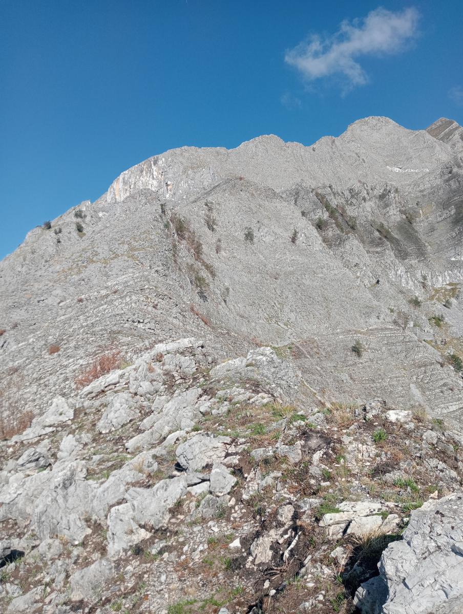 Monte Spallone, Monte Sagro e Punta tre Uomini da Verghereto - foto 20