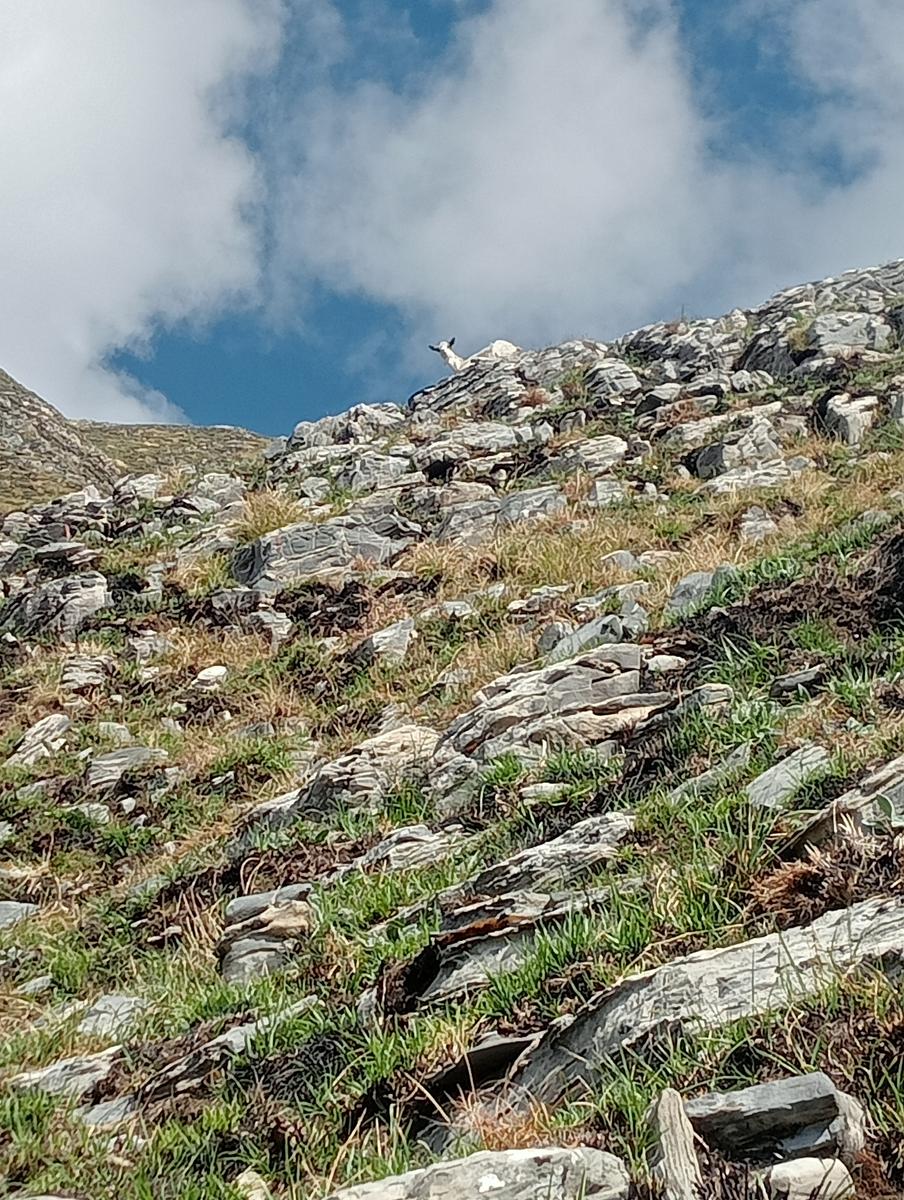Monte Spallone, Monte Sagro e Punta tre Uomini da Verghereto - foto 21