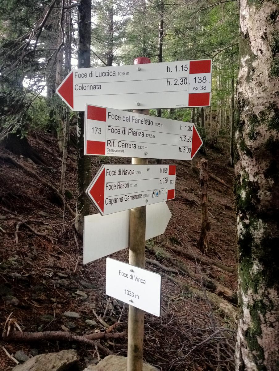 Monte Spallone, Monte Sagro e Punta tre Uomini da Verghereto - foto 28