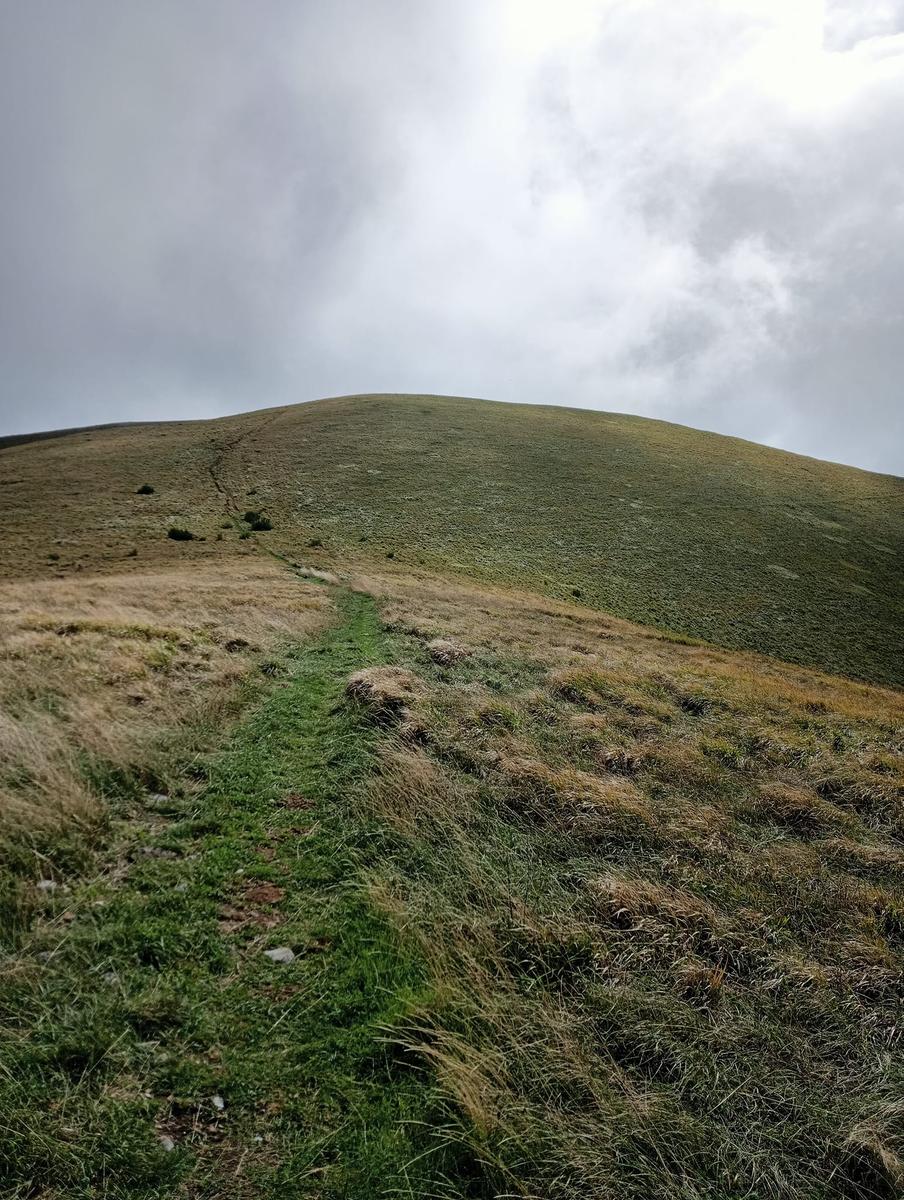 Monte Prato fiorito ~ Monte coronato ~ Alta Via dei Pastori