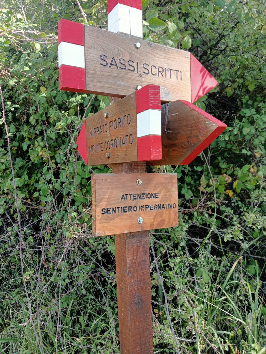 Monte Prato fiorito ~ Monte coronato ~ Alta Via dei Pastori - foto 2