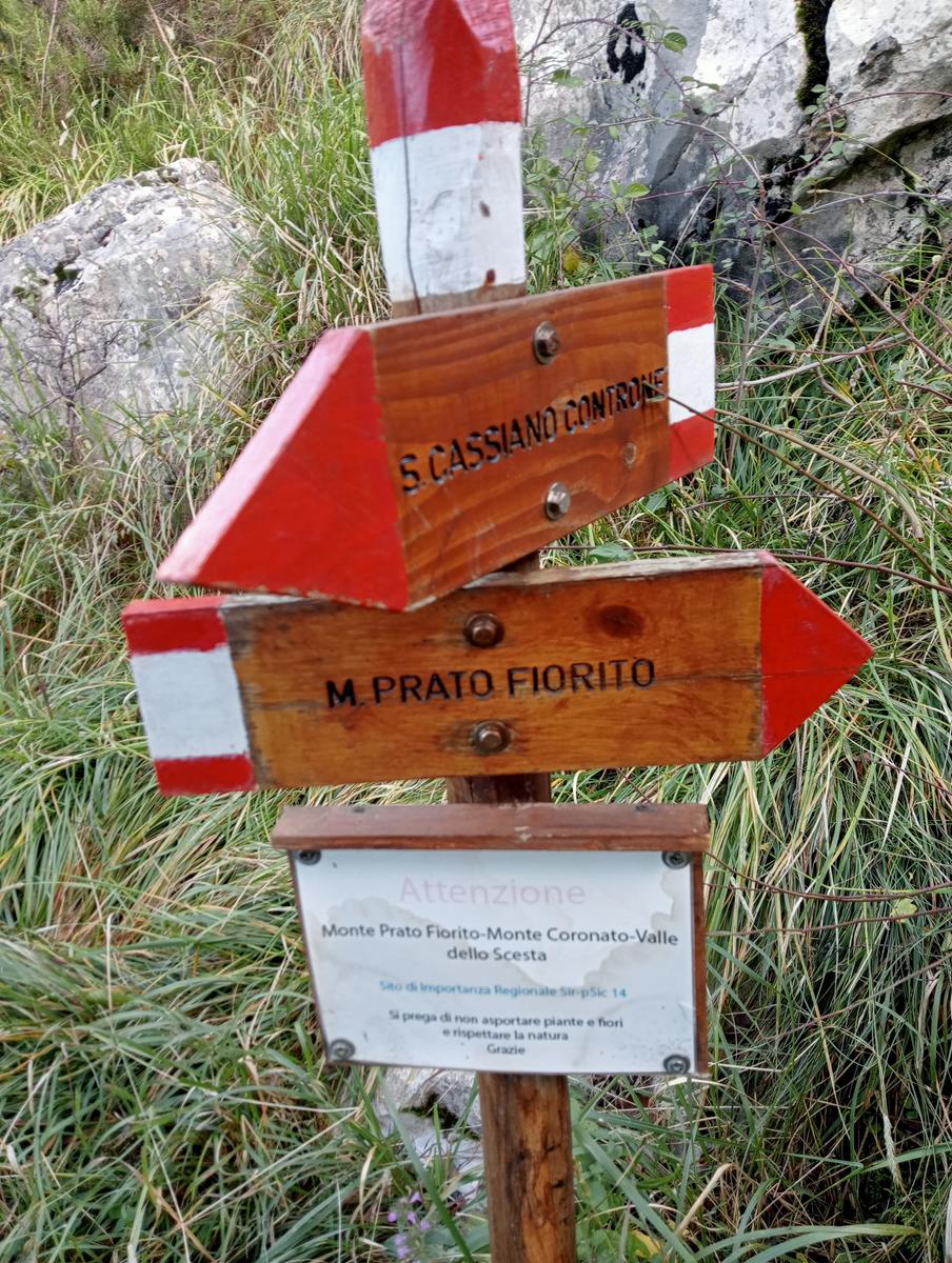 Monte Prato fiorito ~ Monte coronato ~ Alta Via dei Pastori - foto 7