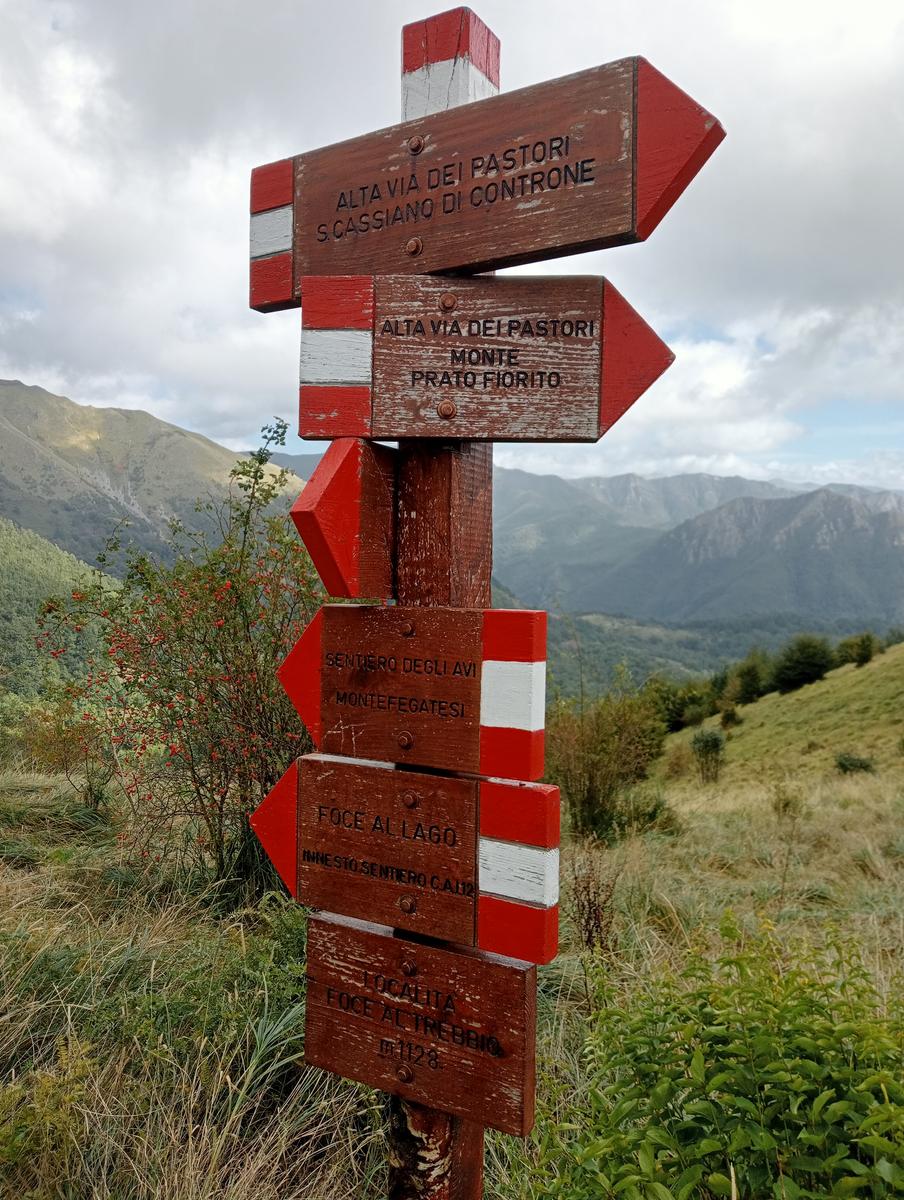 Monte Prato fiorito ~ Monte coronato ~ Alta Via dei Pastori - foto 8