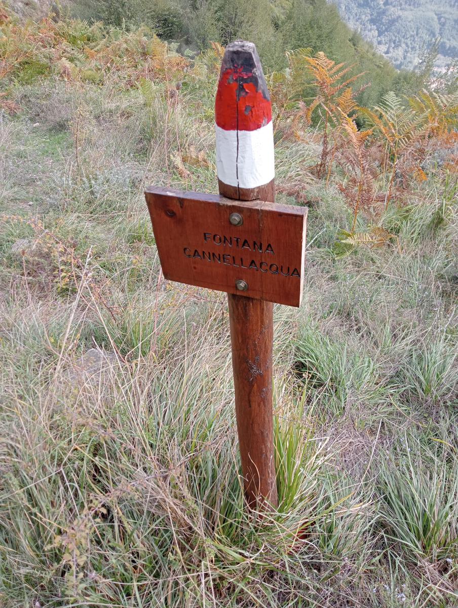 Monte Prato fiorito ~ Monte coronato ~ Alta Via dei Pastori - foto 10