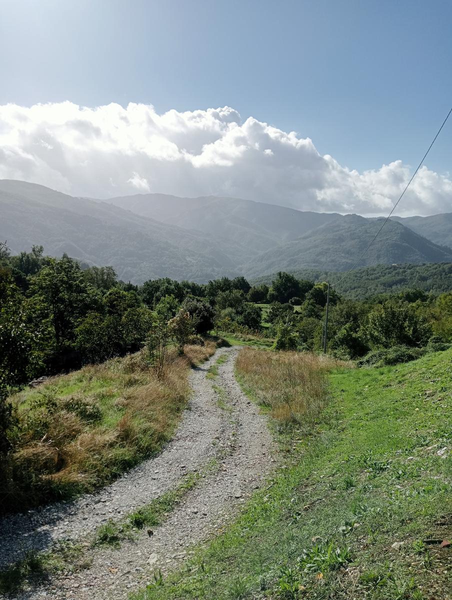Monte Prato fiorito ~ Monte coronato ~ Alta Via dei Pastori - foto 12