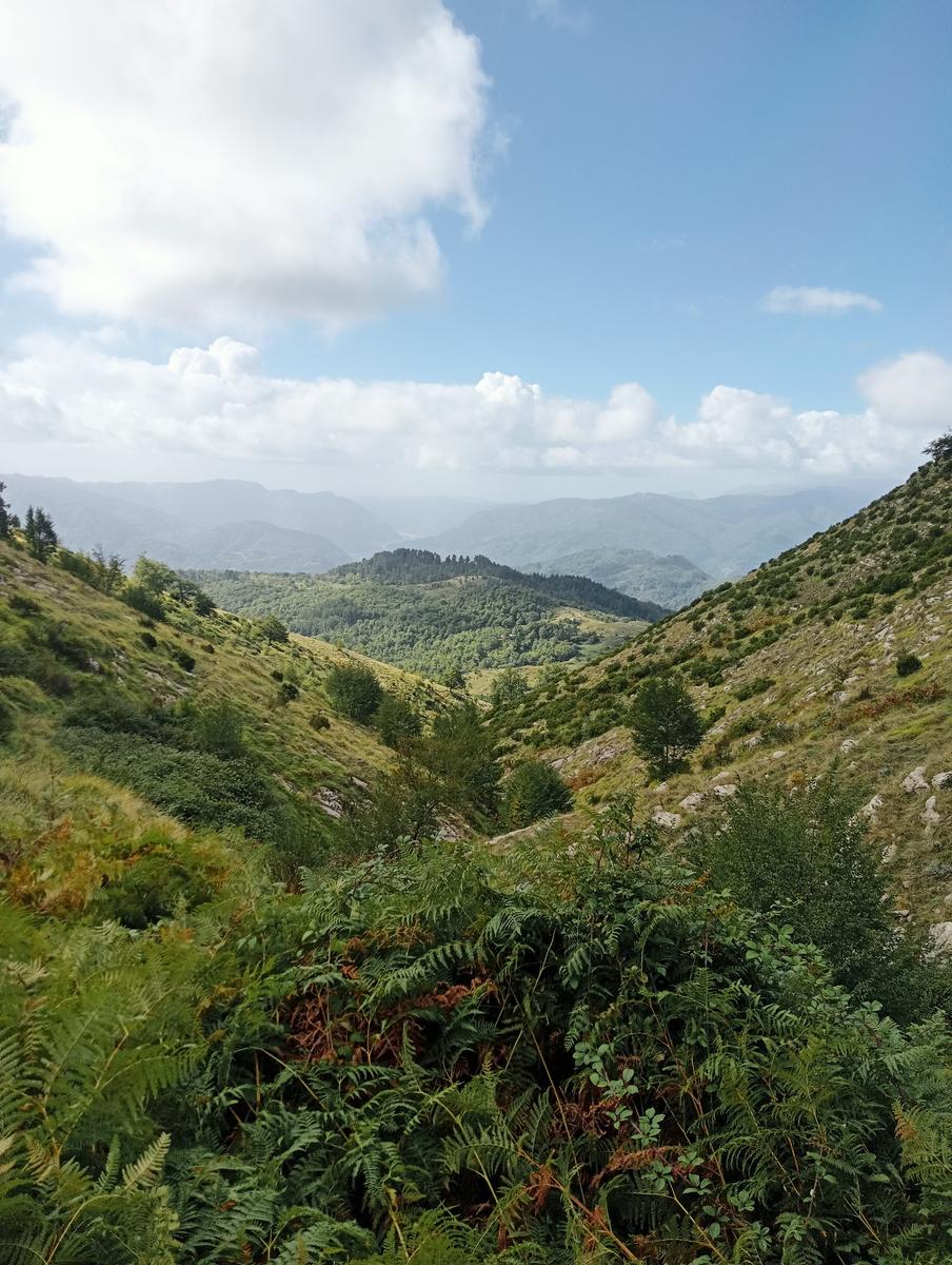 Monte Prato fiorito ~ Monte coronato ~ Alta Via dei Pastori - foto 15