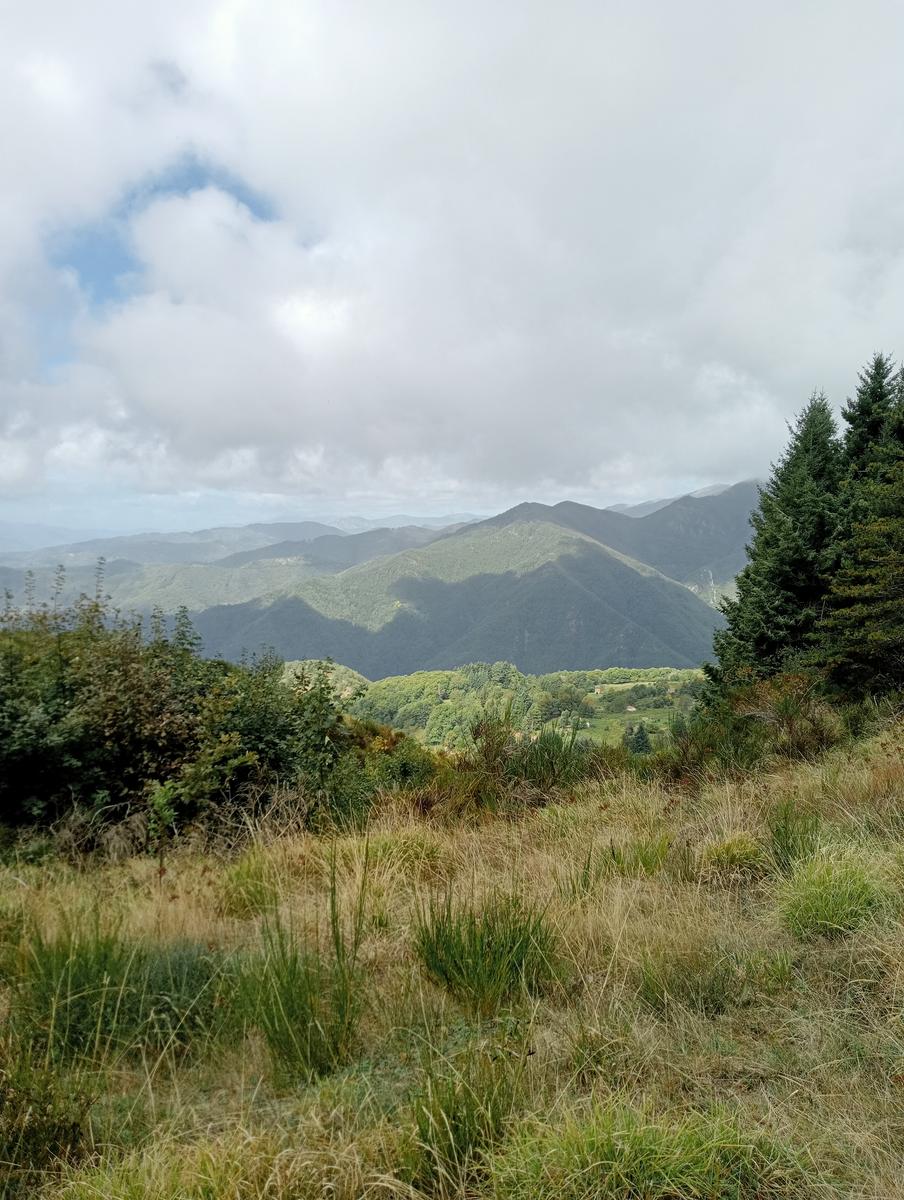 Monte Prato fiorito ~ Monte coronato ~ Alta Via dei Pastori - foto 16