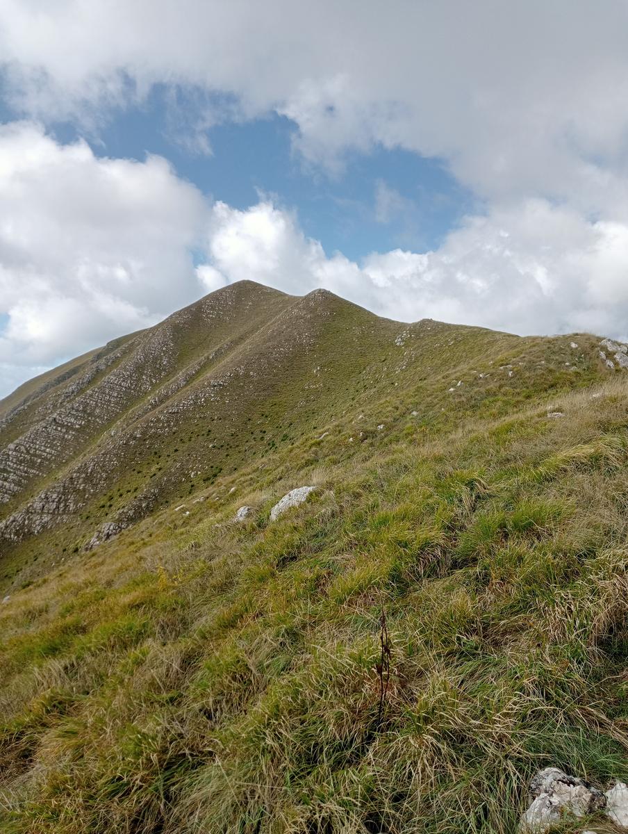 Monte Prato fiorito ~ Monte coronato ~ Alta Via dei Pastori - foto 19