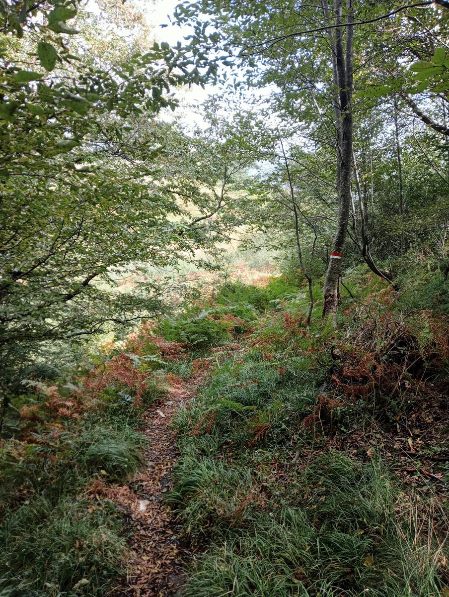 Monte Prato fiorito ~ Monte coronato ~ Alta Via dei Pastori - foto 20