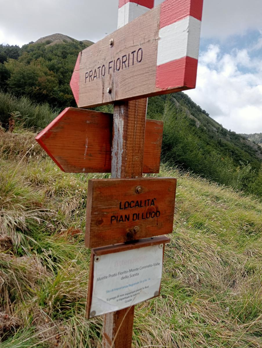 Monte Prato fiorito ~ Monte coronato ~ Alta Via dei Pastori - foto 21