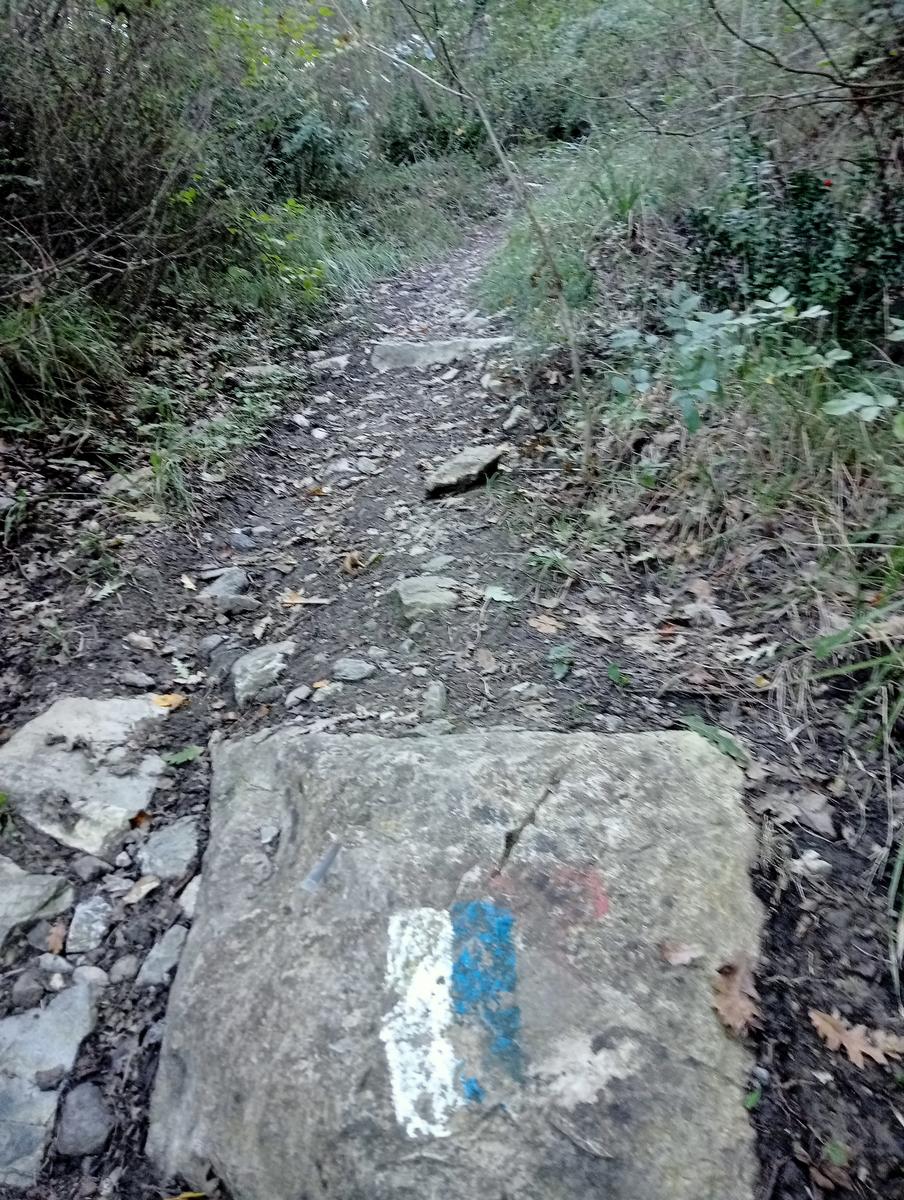 Castellina Marittima ~ Pietra Gosta ~ Poggi ~ Cascata delle Gusciane ~ Sassi bianchi ~ Masso di Montalone
