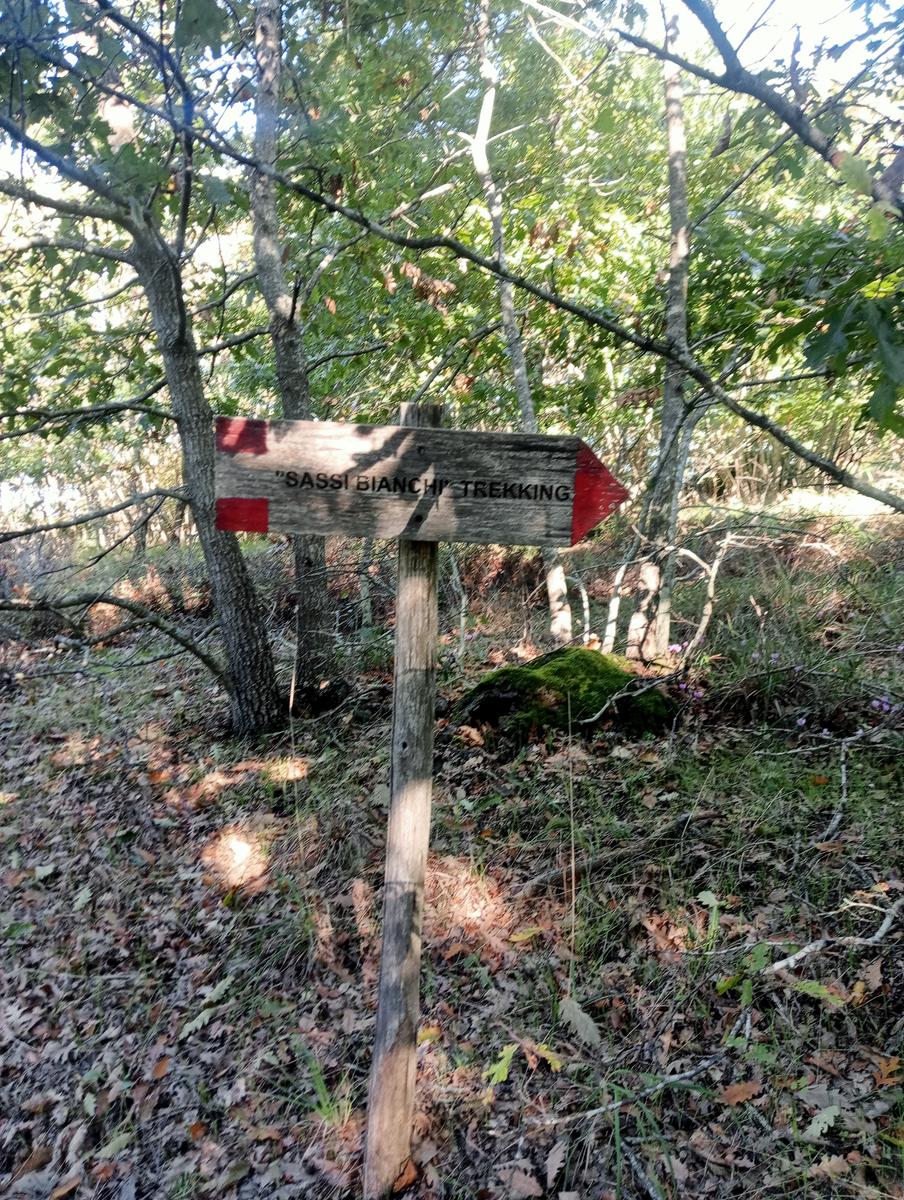 Castellina Marittima ~ Pietra Gosta ~ Poggi ~ Cascata delle Gusciane ~ Sassi bianchi ~ Masso di Montalone - foto 3