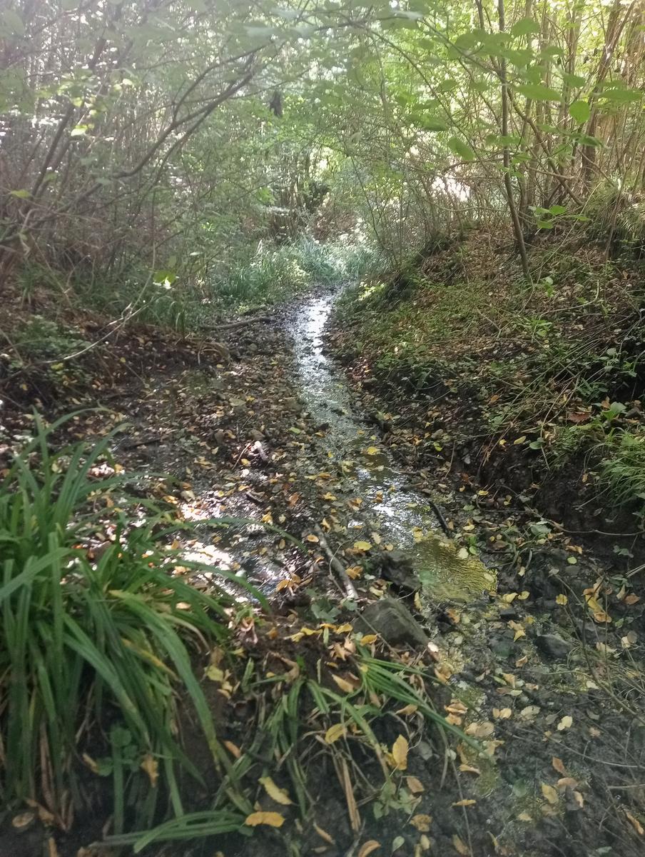 Castellina Marittima ~ Pietra Gosta ~ Poggi ~ Cascata delle Gusciane ~ Sassi bianchi ~ Masso di Montalone - foto 4