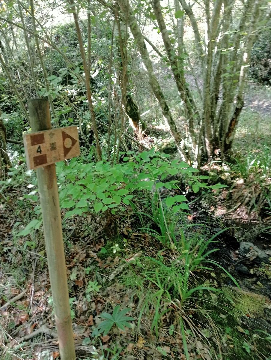 Castellina Marittima ~ Pietra Gosta ~ Poggi ~ Cascata delle Gusciane ~ Sassi bianchi ~ Masso di Montalone - foto 5