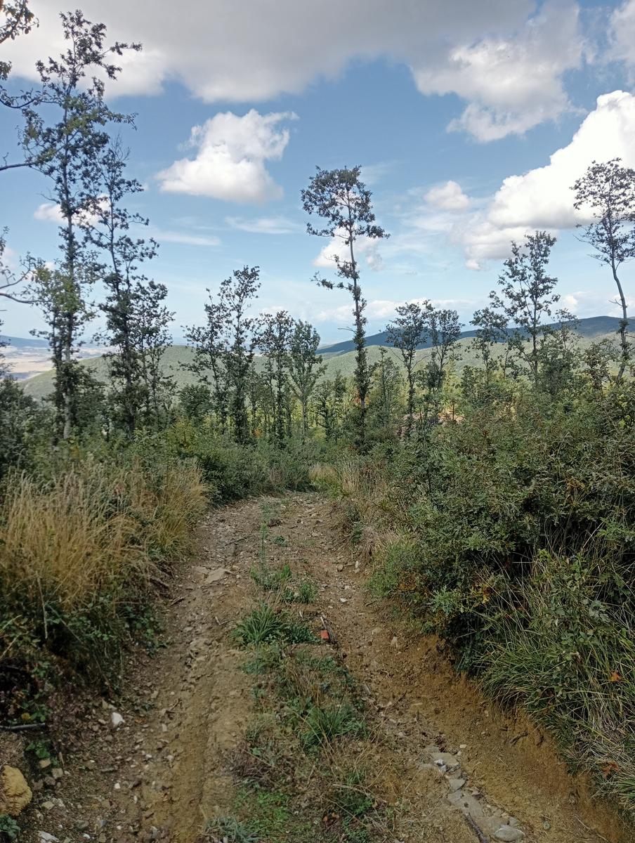 Castellina Marittima ~ Pietra Gosta ~ Poggi ~ Cascata delle Gusciane ~ Sassi bianchi ~ Masso di Montalone - foto 7