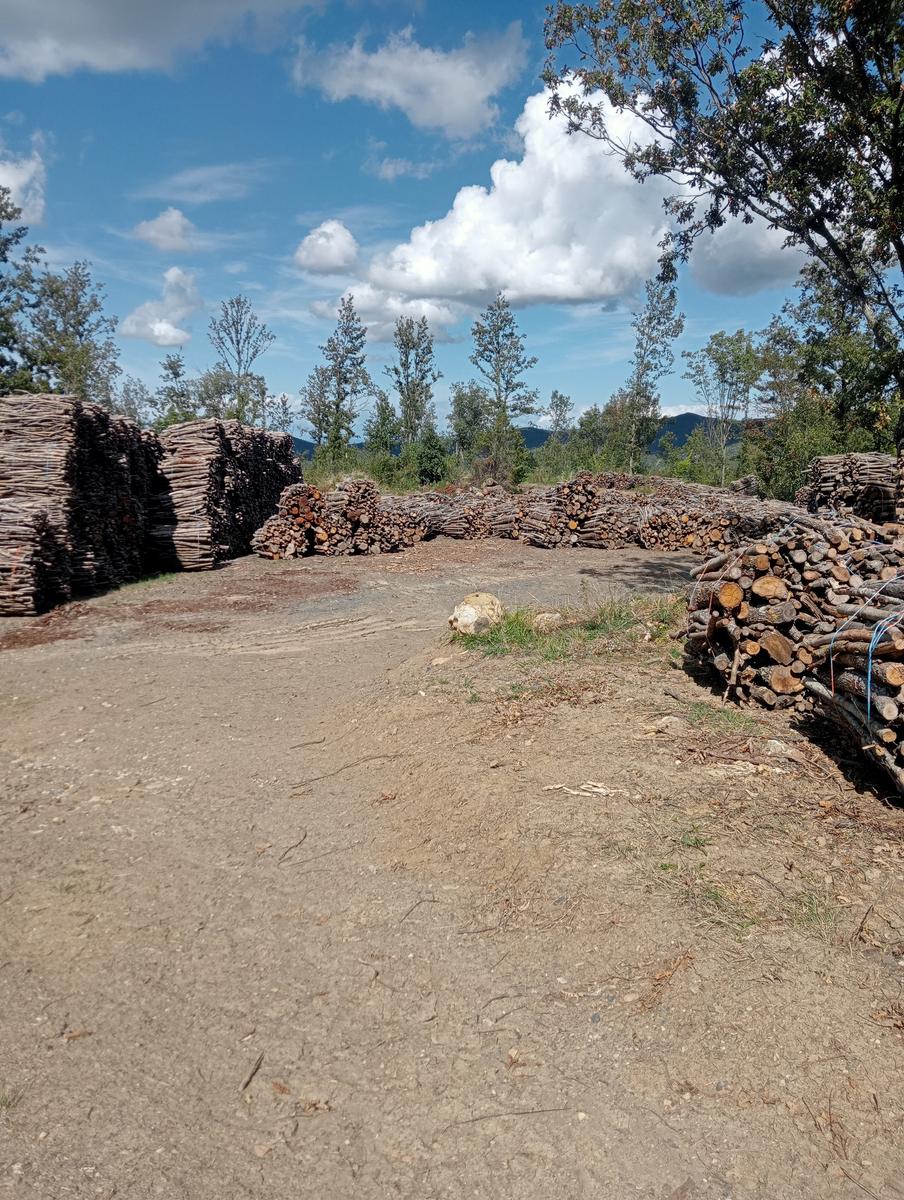 Castellina Marittima ~ Pietra Gosta ~ Poggi ~ Cascata delle Gusciane ~ Sassi bianchi ~ Masso di Montalone - foto 8