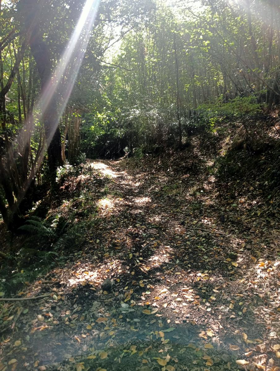 Castellina Marittima ~ Pietra Gosta ~ Poggi ~ Cascata delle Gusciane ~ Sassi bianchi ~ Masso di Montalone - foto 16