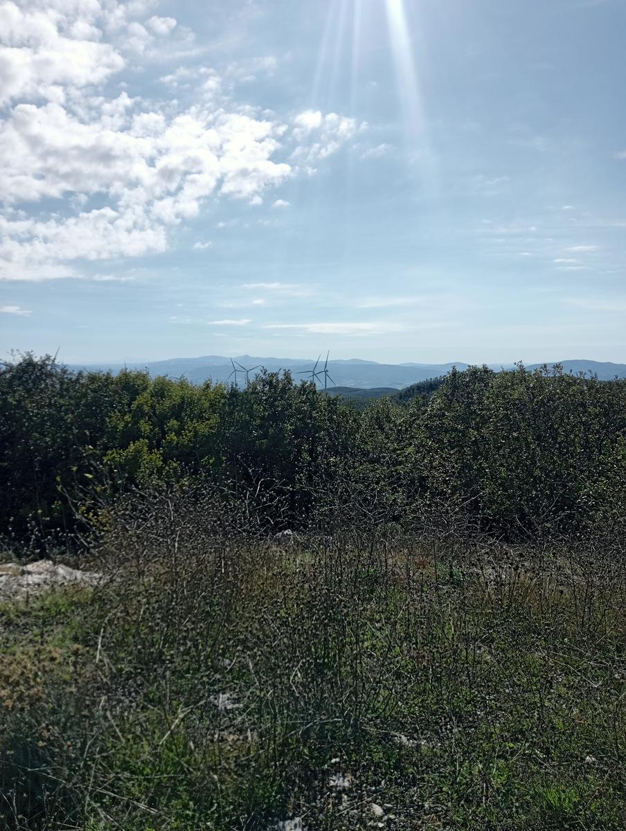 Castellina Marittima ~ Pietra Gosta ~ Poggi ~ Cascata delle Gusciane ~ Sassi bianchi ~ Masso di Montalone - foto 17
