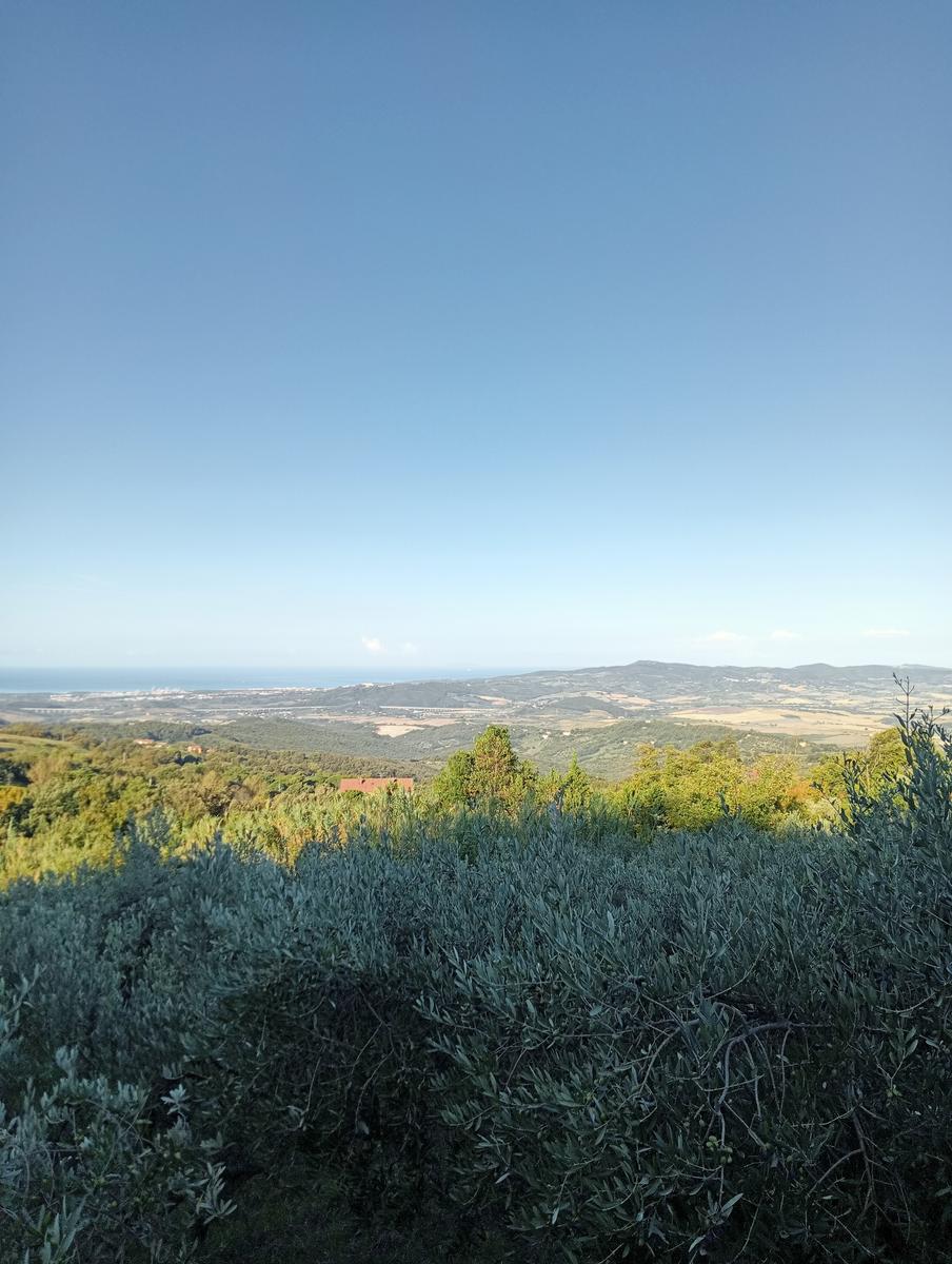 Castellina Marittima ~ Pietra Gosta ~ Poggi ~ Cascata delle Gusciane ~ Sassi bianchi ~ Masso di Montalone - foto 22