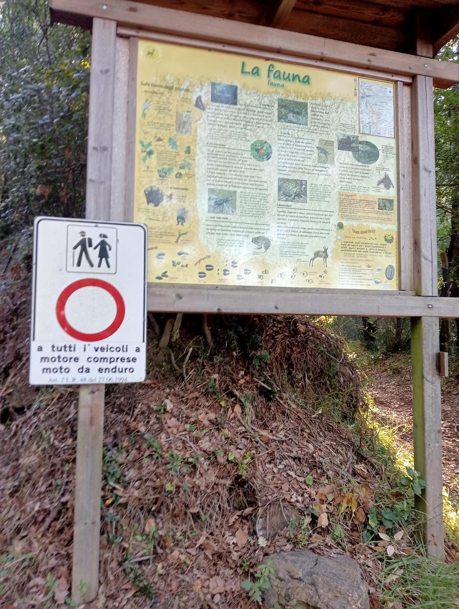 Castellina Marittima ~ Pietra Gosta ~ Poggi ~ Cascata delle Gusciane ~ Sassi bianchi ~ Masso di Montalone - foto 23