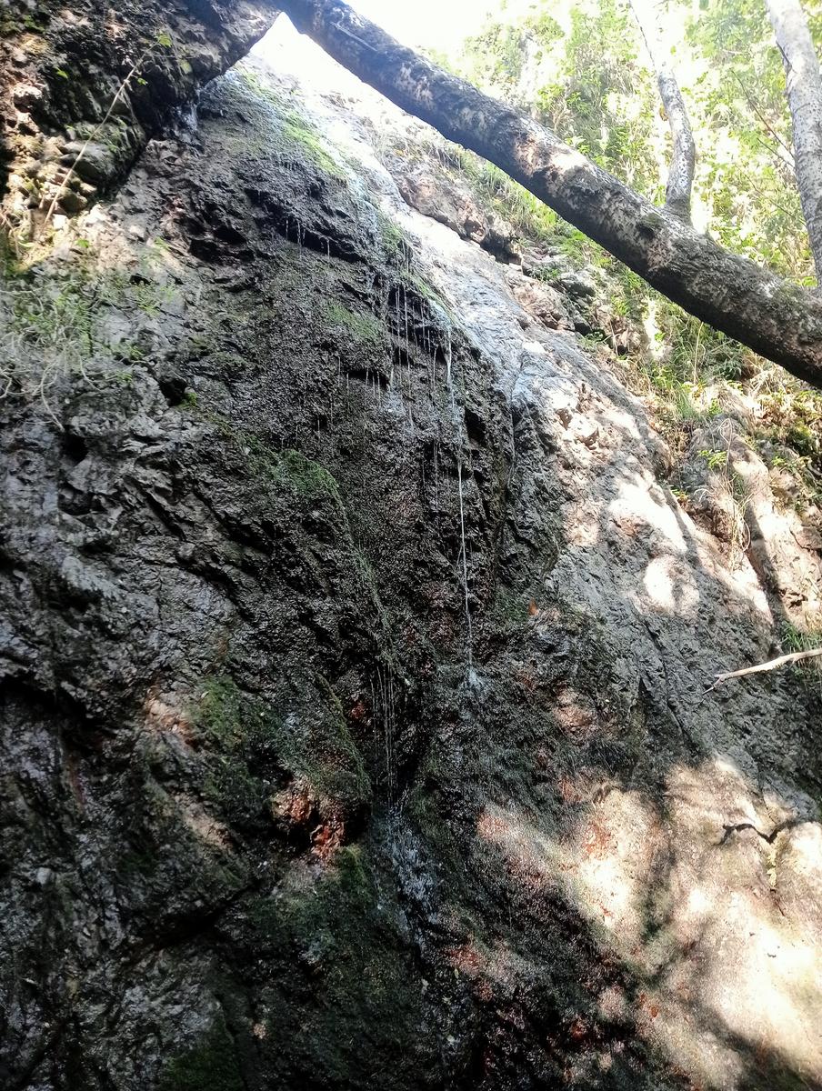 Castellina Marittima ~ Pietra Gosta ~ Poggi ~ Cascata delle Gusciane ~ Sassi bianchi ~ Masso di Montalone - foto 25