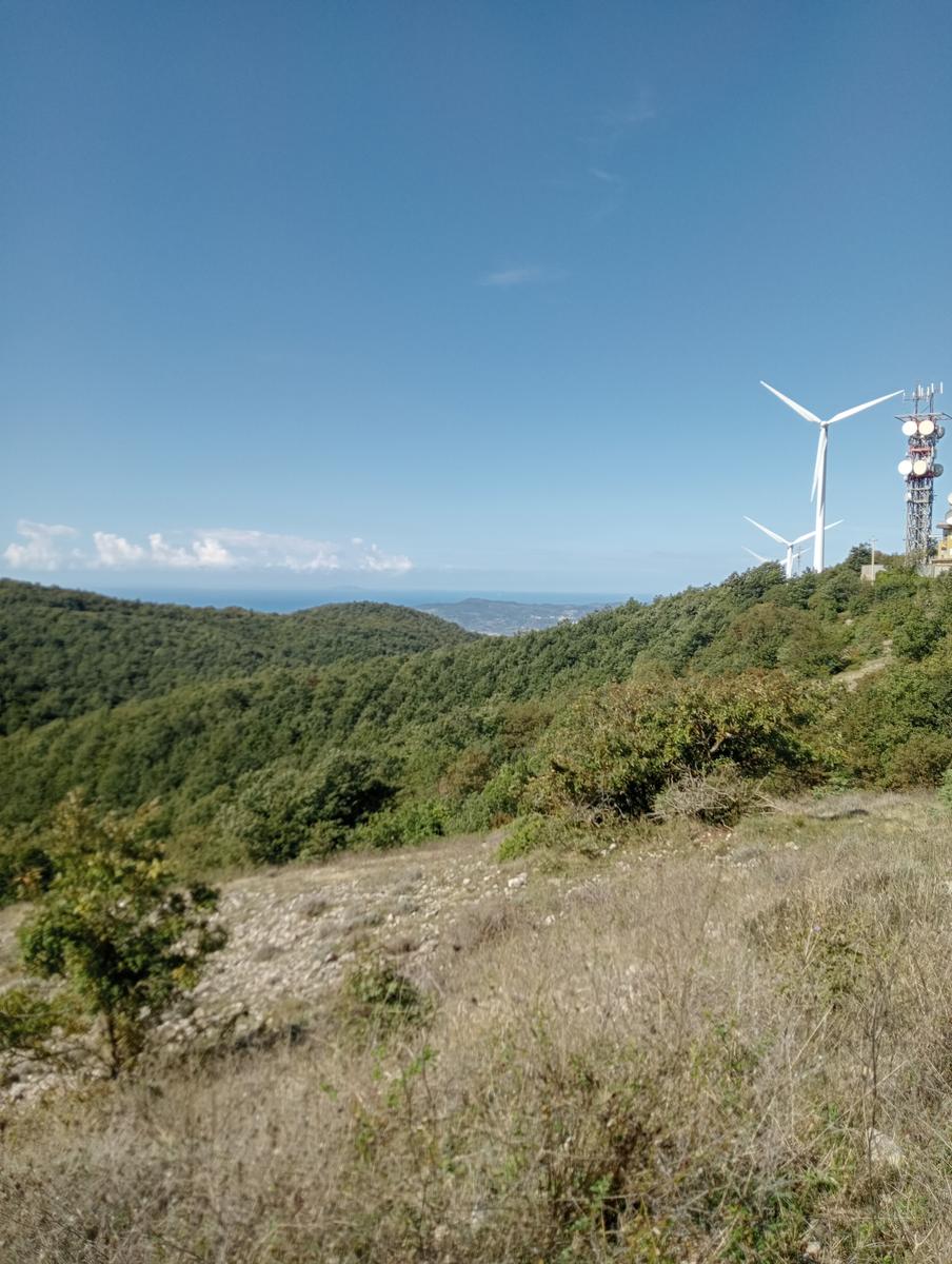 Castellina Marittima ~ Pietra Gosta ~ Poggi ~ Cascata delle Gusciane ~ Sassi bianchi ~ Masso di Montalone - foto 26