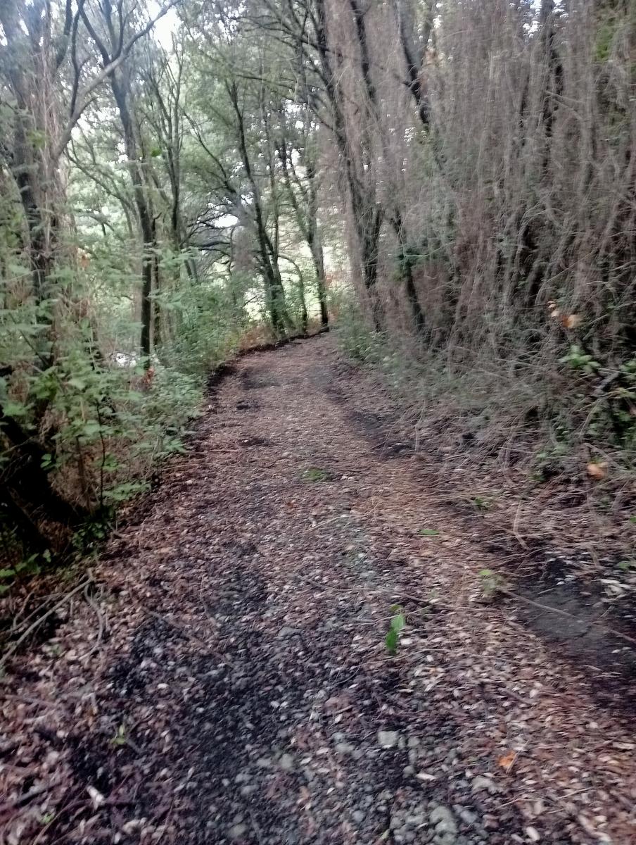 Pomaia e Poggi - foto 2