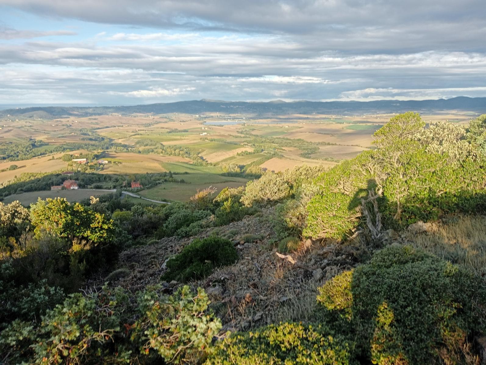 Pomaia e Poggi - foto 3