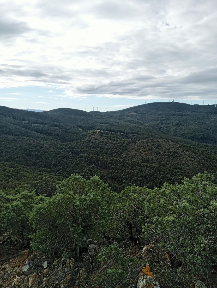 Pomaia e Poggi - foto 4