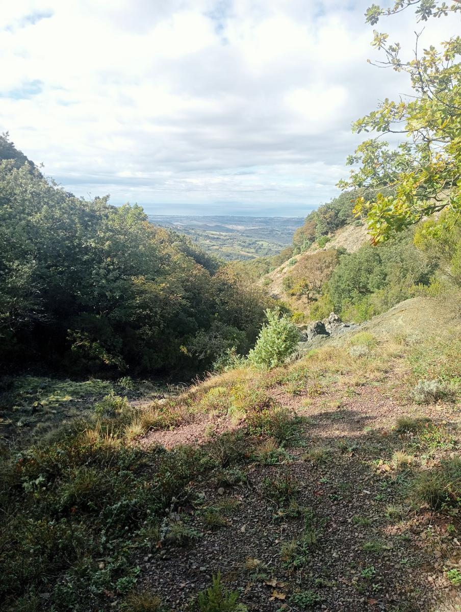 Pomaia e Poggi - foto 5