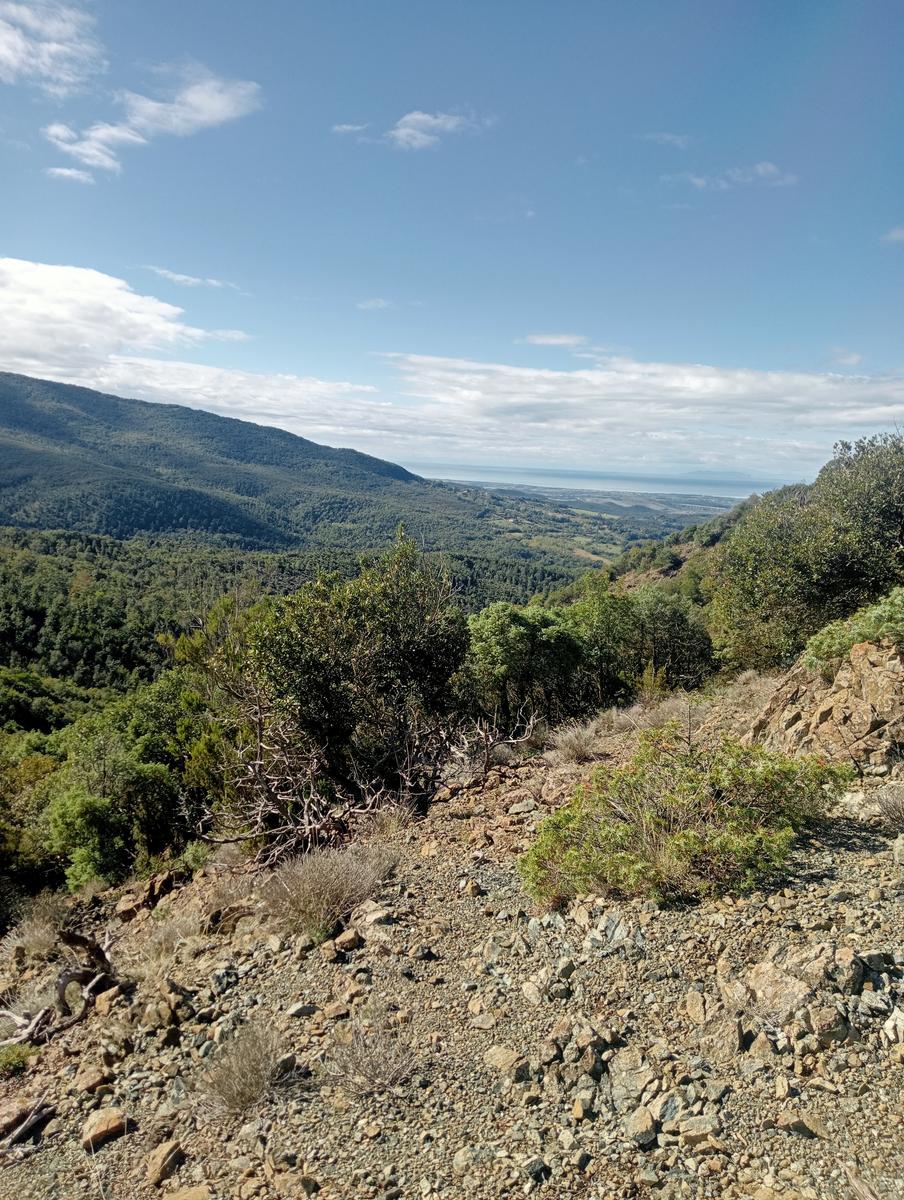 Pomaia e Poggi - foto 6