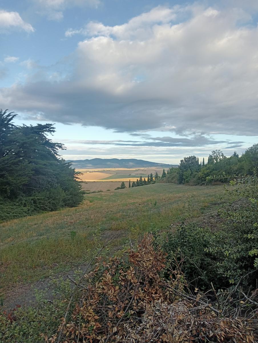 Pomaia e Poggi - foto 8