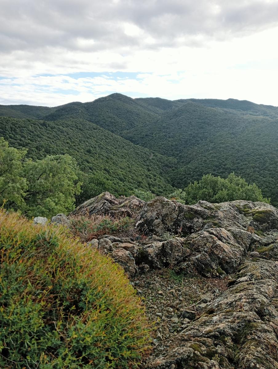 Pomaia e Poggi - foto 11