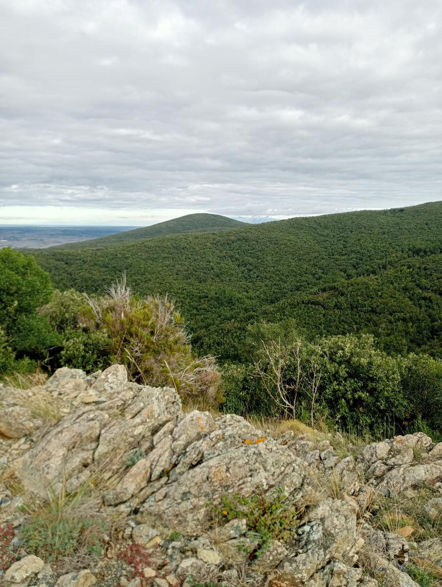 Pomaia e Poggi - foto 12