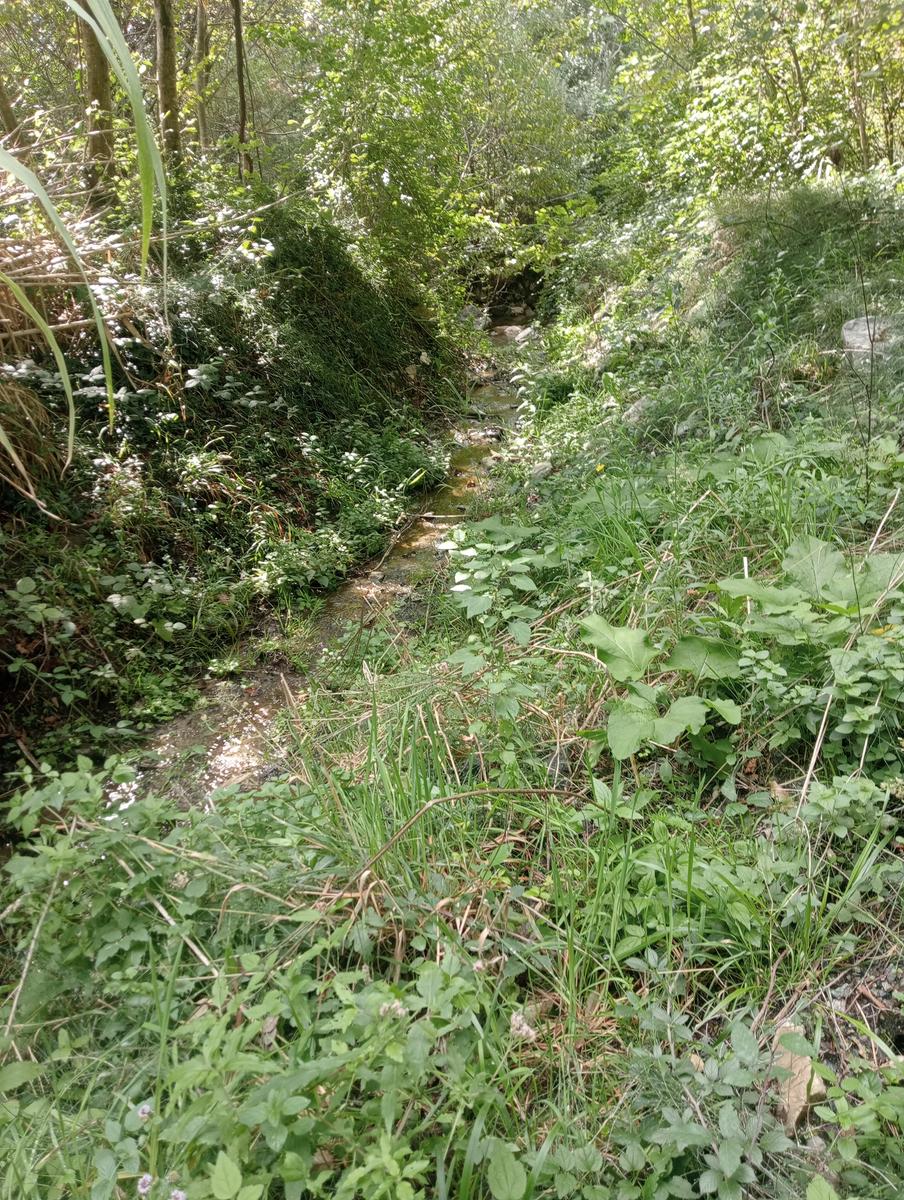 Pomaia e Poggi - foto 13