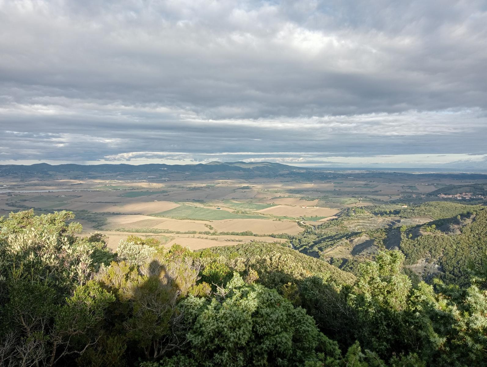 Pomaia e Poggi - foto 15