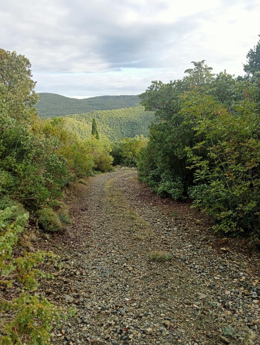 Pomaia e Poggi - foto 16