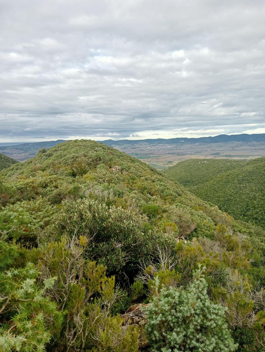 Pomaia e Poggi - foto 17