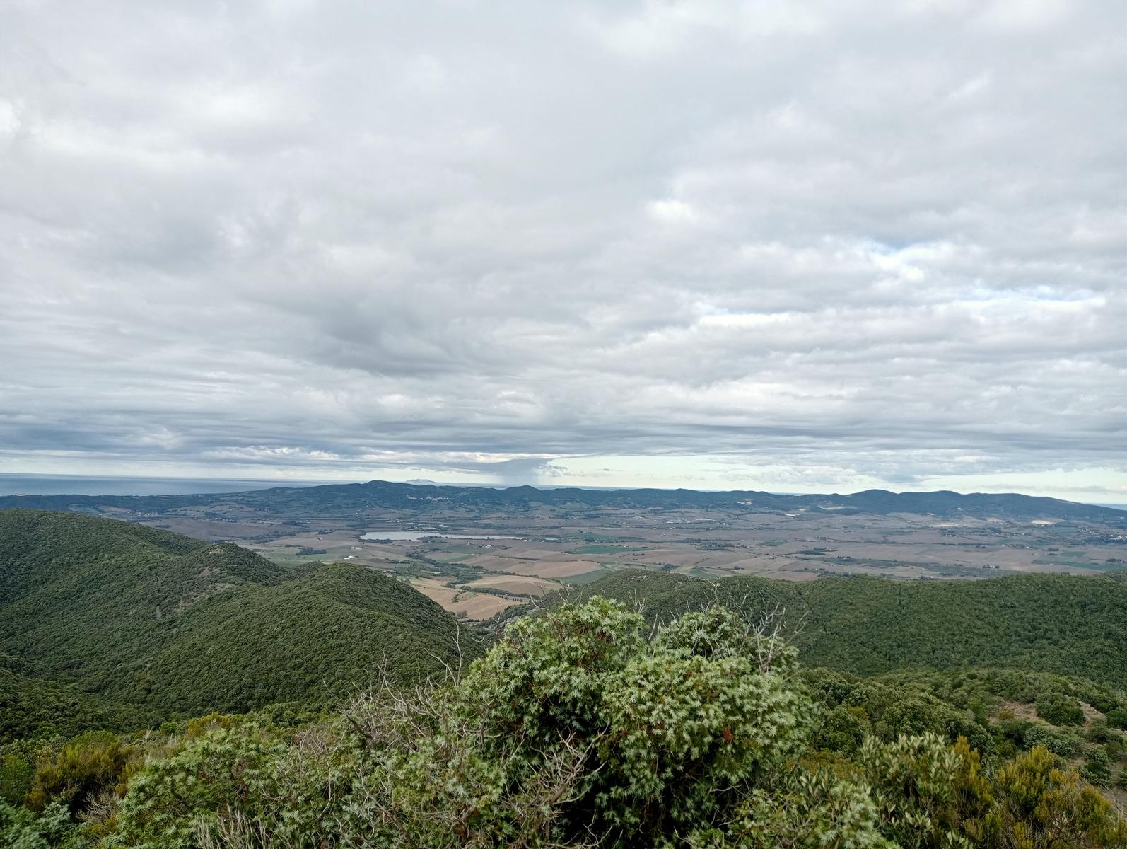 Pomaia e Poggi - foto 18