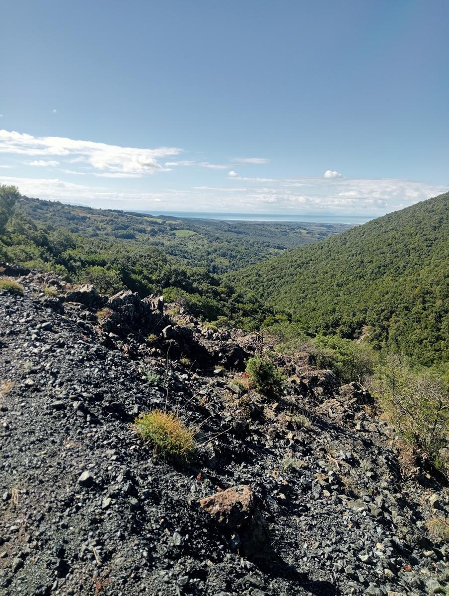 Pomaia e Poggi - foto 20